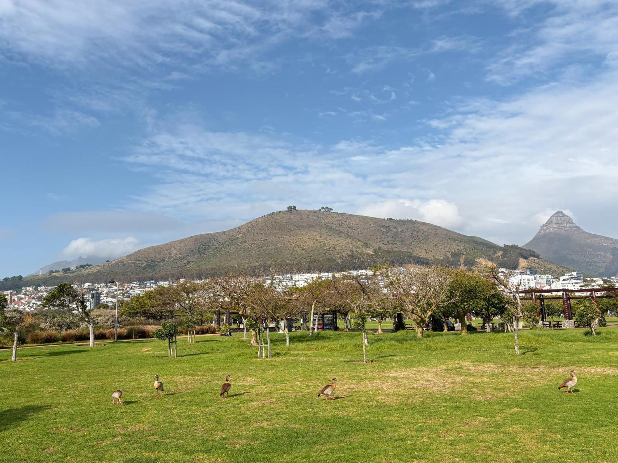 Cosy, Eclectic In Sea Point Apartment Kapstadt